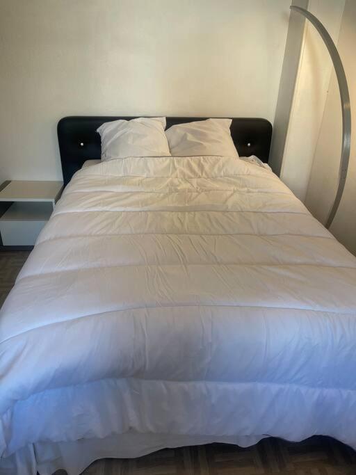Appartement Croix Rousse 69004 Lione Esterno foto